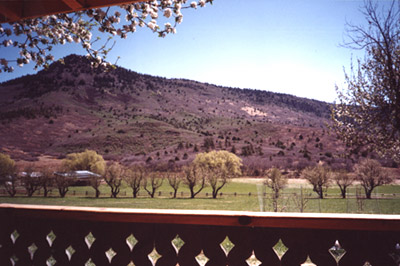 mountain orchard